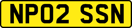 NP02SSN