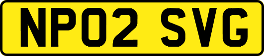 NP02SVG