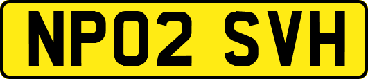 NP02SVH