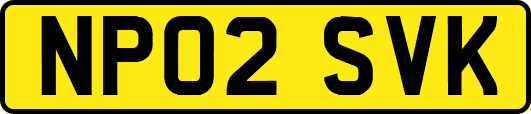 NP02SVK