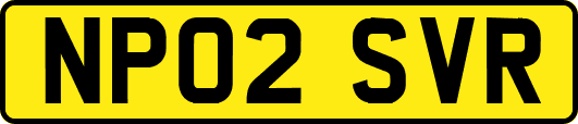 NP02SVR