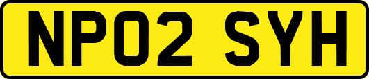 NP02SYH
