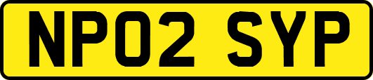 NP02SYP