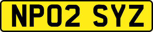 NP02SYZ