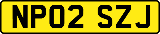 NP02SZJ