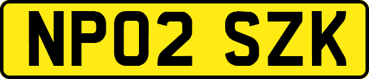 NP02SZK