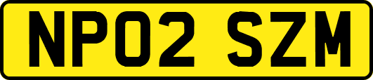NP02SZM