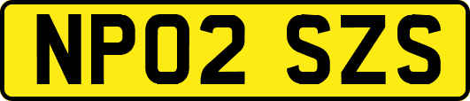 NP02SZS