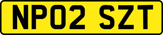 NP02SZT