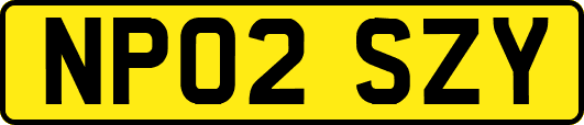 NP02SZY