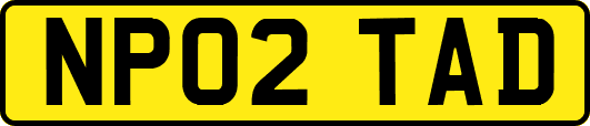 NP02TAD