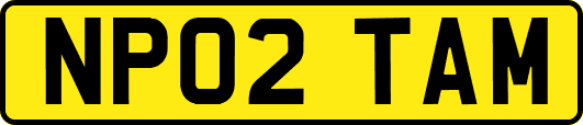 NP02TAM