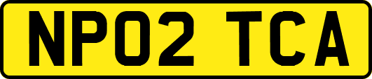 NP02TCA