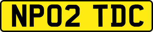 NP02TDC