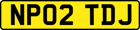 NP02TDJ