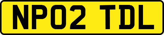 NP02TDL
