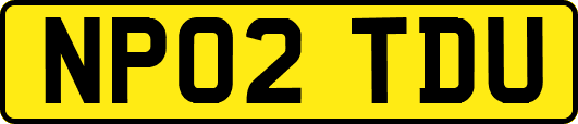 NP02TDU