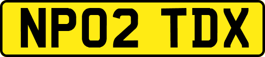 NP02TDX