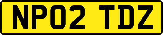 NP02TDZ