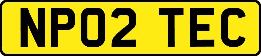 NP02TEC