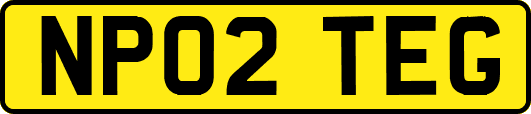 NP02TEG