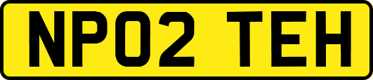 NP02TEH