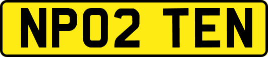 NP02TEN