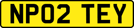 NP02TEY