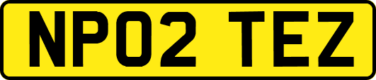 NP02TEZ