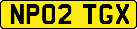NP02TGX