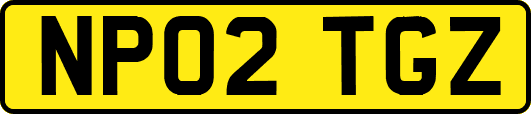NP02TGZ