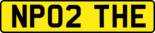 NP02THE
