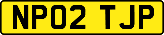 NP02TJP