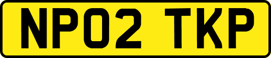 NP02TKP