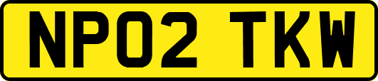 NP02TKW