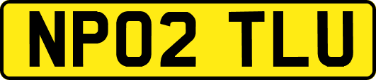 NP02TLU