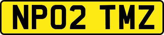NP02TMZ