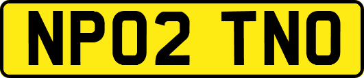 NP02TNO