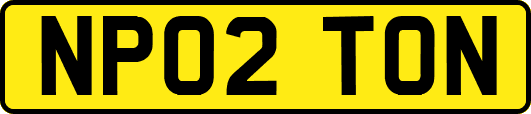 NP02TON