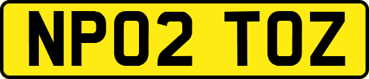 NP02TOZ