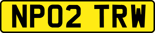 NP02TRW