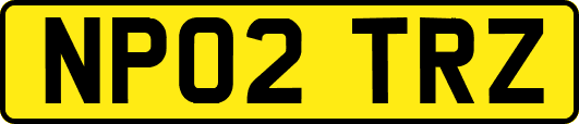 NP02TRZ