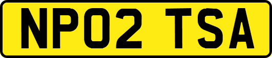 NP02TSA