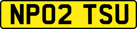 NP02TSU