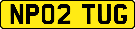 NP02TUG