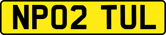 NP02TUL