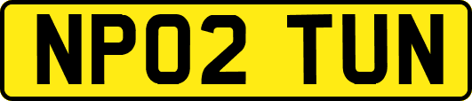 NP02TUN