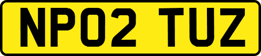 NP02TUZ