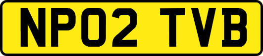 NP02TVB
