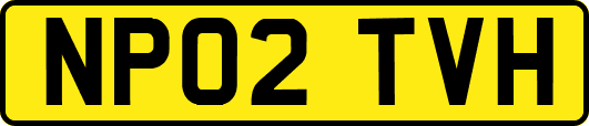 NP02TVH